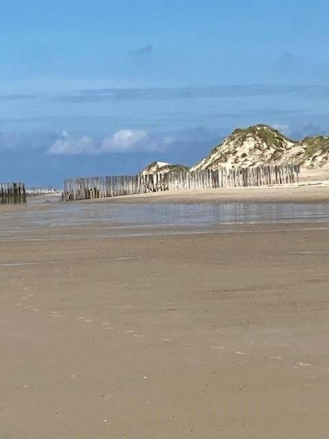 Duinstrand Бур Хамстед Екстериор снимка