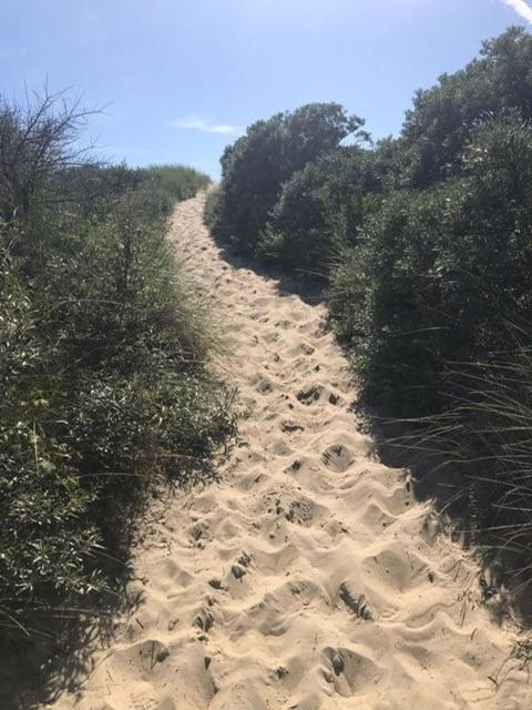 Duinstrand Бур Хамстед Екстериор снимка